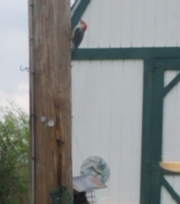 20190418_151755.jpg