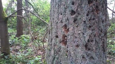WP_20190418_067.jpg