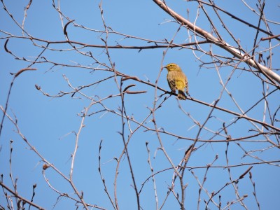 DSCN7203.JPG
