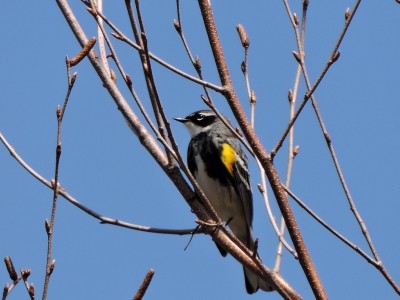 DSCN7213.JPG