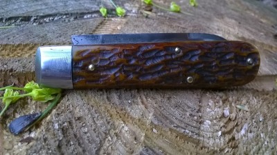 WP_20190419_018.jpg