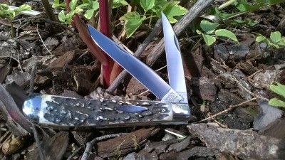 WP_20190417_072.jpg