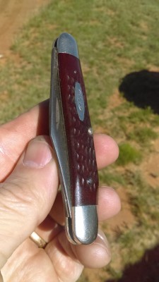 IMAG0731.jpg
