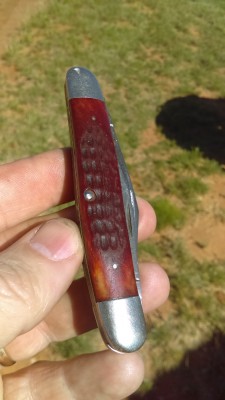 IMAG0730.jpg