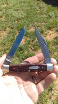 IMAG0732.jpg