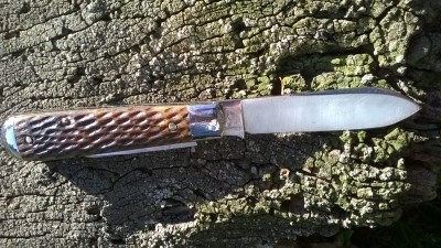 WP_20190420_031.jpg