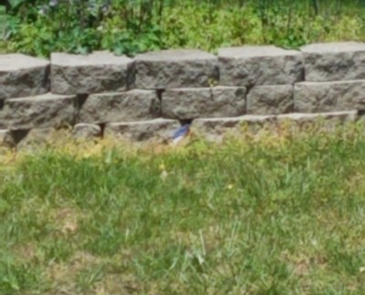 20190421_132622.jpg