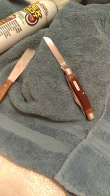 IMAG0740.jpg