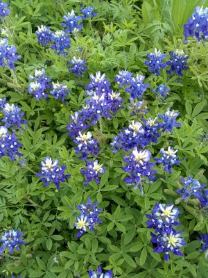 IMG_20190423_104947160.jpg