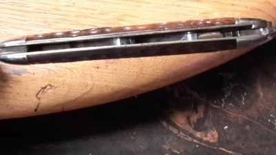 20190424_211918.jpg