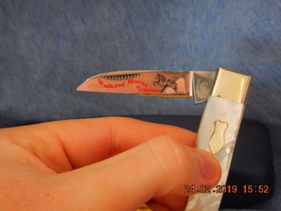 DSCN0630.JPG