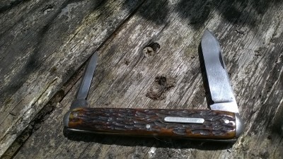 WP_20190424_037.jpg