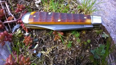 WP_20190423_032.jpg