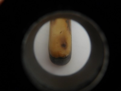 DSCN3043.JPG