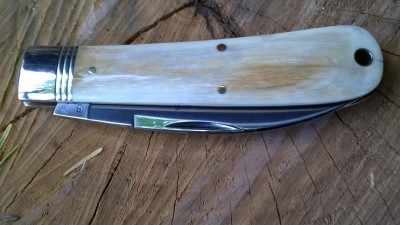 WP_20190427_039.jpg