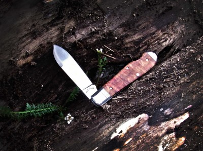 2018-tuna-teardrop-red-burl02-lo.jpg