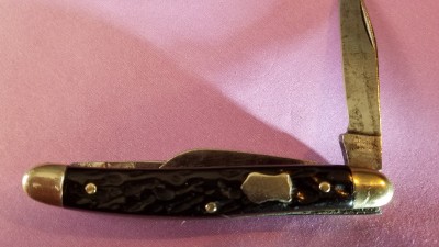 20190428_154745.jpg