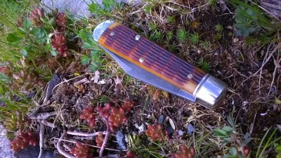 WP_20190423_031.jpg