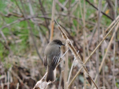 DSCN7808.JPG
