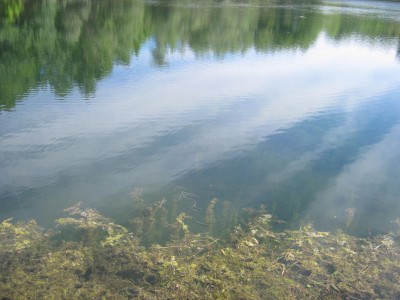 IMG_0456.JPG