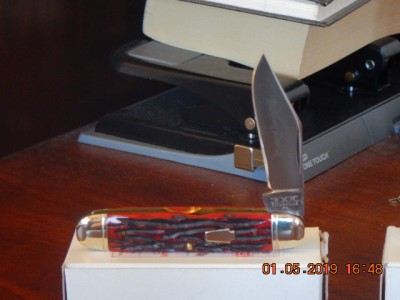 DSCN0784.JPG