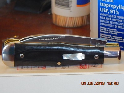 DSCN0785.JPG