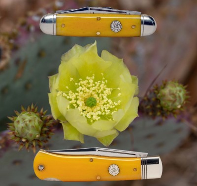 Prickley Pear with GEC Yellow Roses :)