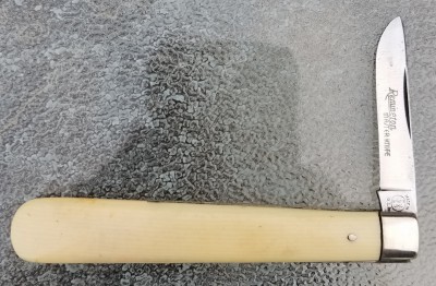 20190502_194931.jpg