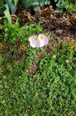 20190503_142641.jpg