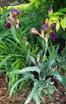 20190503_142715.jpg