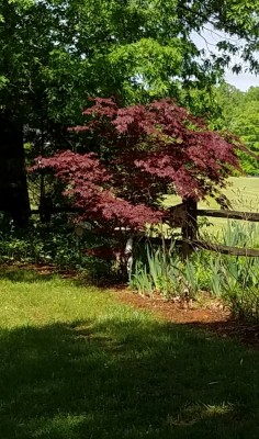 20190503_142948.jpg