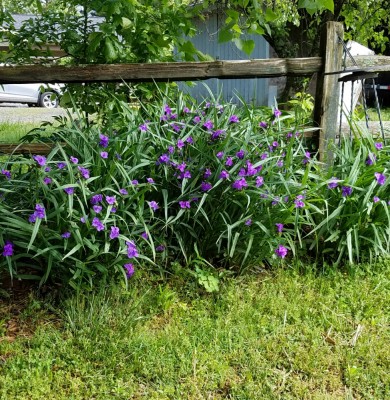20190503_142548.jpg