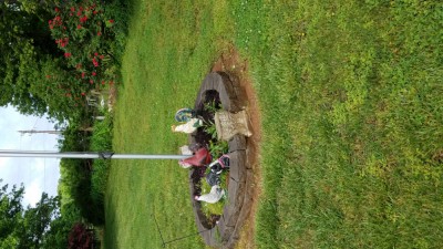 20190503_101956.jpg
