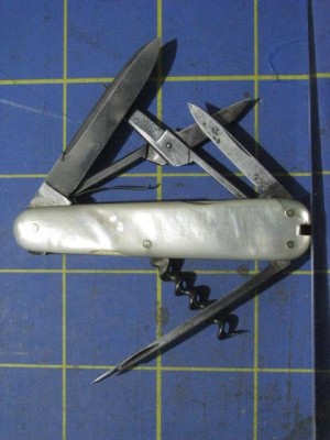A.Kastor#1A.JPG