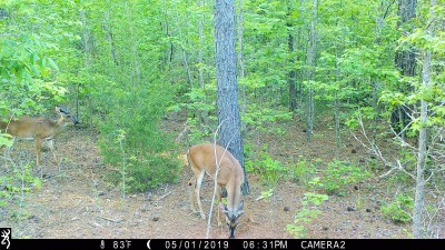 IMG_0172 (2).JPG