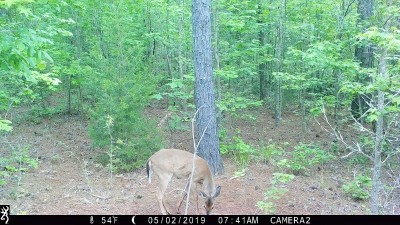 IMG_0180 (2).JPG