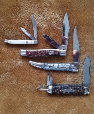 20190504_154919.jpg