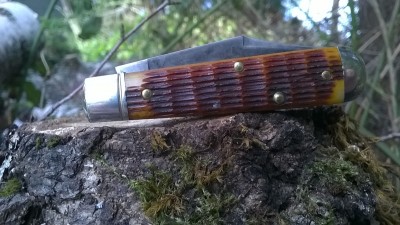 WP_20190404_054.jpg