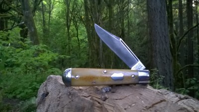 WP_20190504_076.jpg