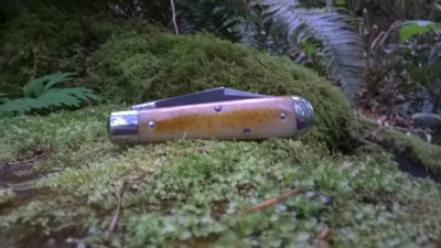 WP_20190504_057.jpg