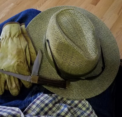 20190506_120032.jpg