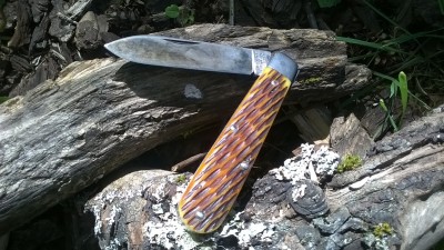 WP_20190506_020.jpg