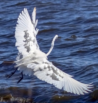 20190428_114513.jpg