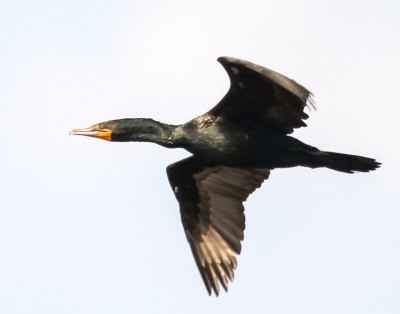 20190411_061457.jpg