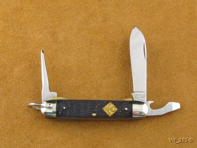 bsa 1885.jpg