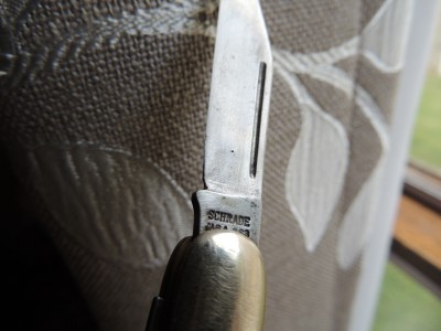 DSCN5705.JPG
