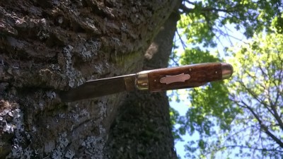 WP_20190508_002.jpg