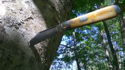WP_20190508_098.jpg