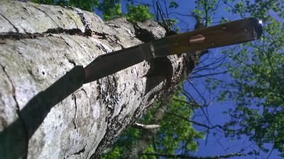 WP_20190508_044.jpg
