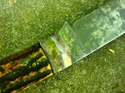 DSCN8070.JPG